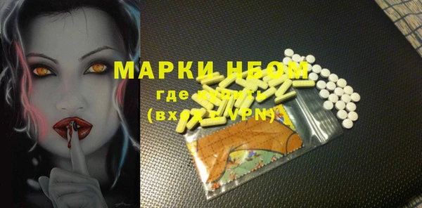 PSILOCYBIN Бородино