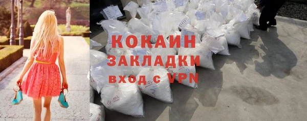 PSILOCYBIN Бородино